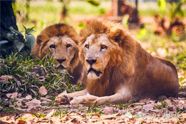 微信圖片_20190712095459 微信圖片_20190712095459