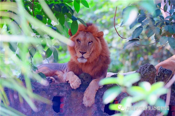 微信圖片_20190712095540 微信圖片_20190712095540