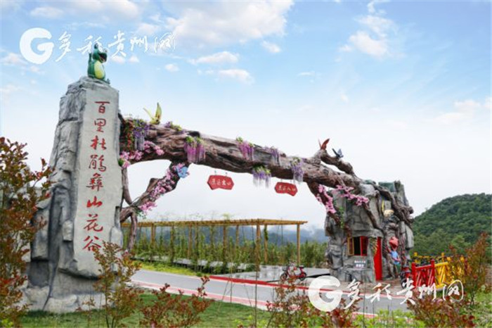 W020190717551174401119 W020190717551174401119