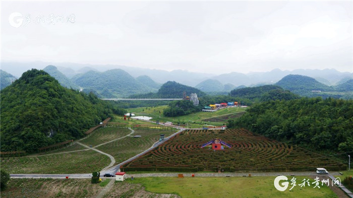 W020190717551184280381 W020190717551184280381