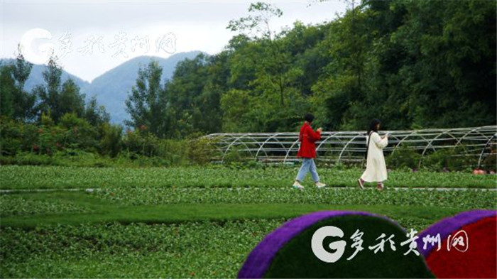 W020190717551185346938 W020190717551185346938