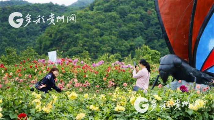 W020190717551177348821 W020190717551177348821