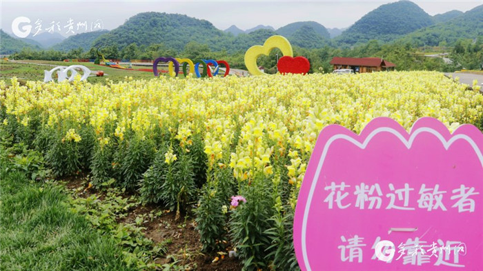 W020190717551176174271 W020190717551176174271