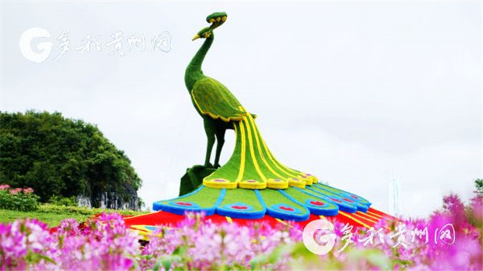 W020190717551178771510 W020190717551178771510