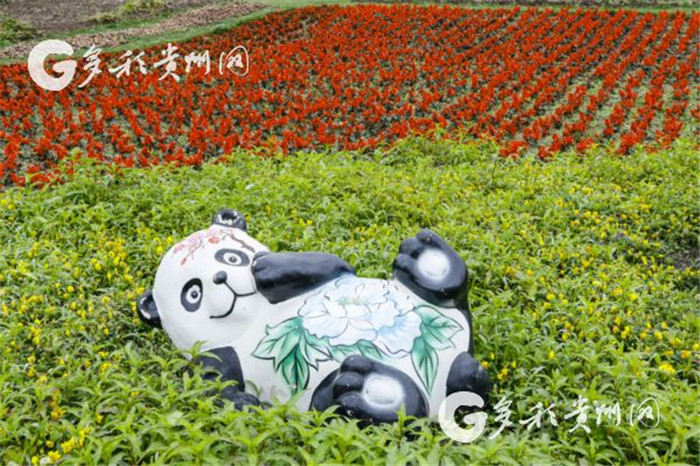 W020190717551179197984 W020190717551179197984