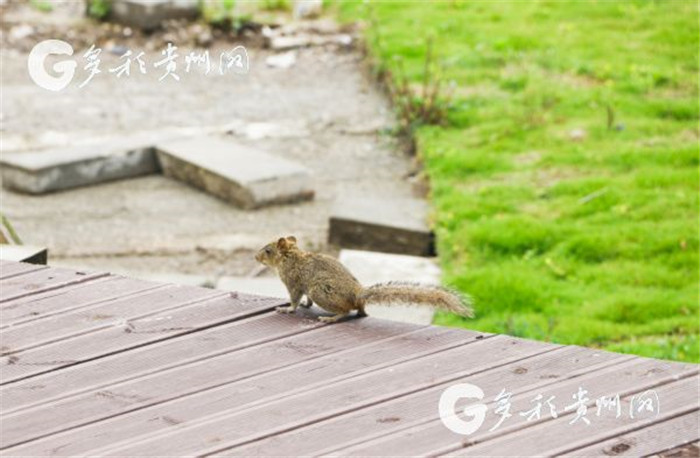 W020190717551183108932 W020190717551183108932