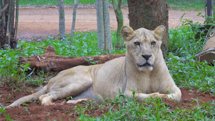 微信圖片_20190718153610 微信圖片_20190718153610