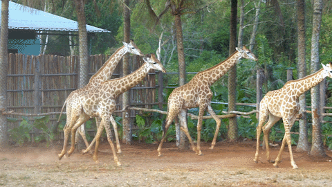 微信圖片_20190718153630 微信圖片_20190718153630