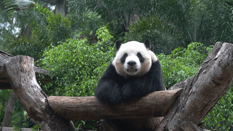 微信圖片_20190718153547 微信圖片_20190718153547