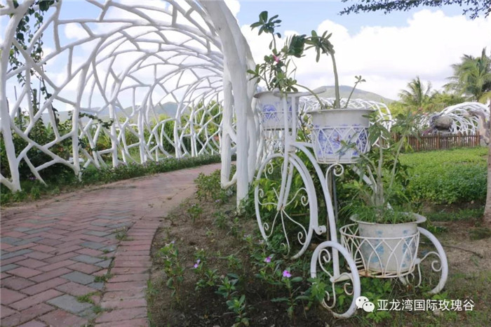 微信圖片_20190718164343