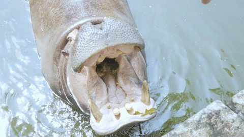 微信圖片_20190718153633 微信圖片_20190718153633