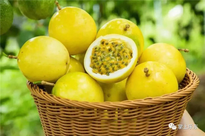 微信圖片_20190801085401