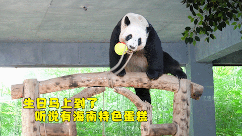 微信圖片_20190803160230