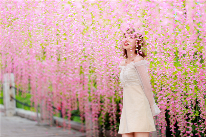 藤蘿花長廊下打卡2 藤蘿花長廊下打卡2