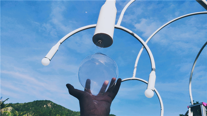 煙泡樹 (2) 煙泡樹 (2)