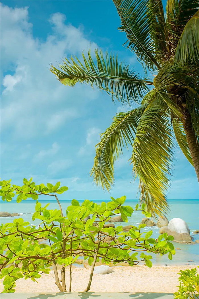 微信圖片_20190831151636 微信圖片_20190831151636