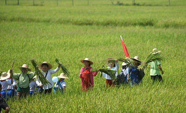 SXF_5867 - 萬能看圖王