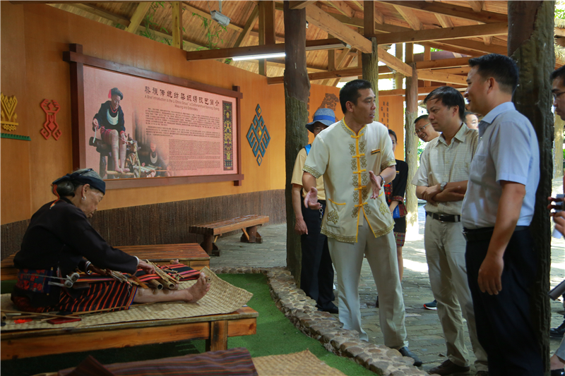 3、海南省商務廳黨組書記、廳長陳希一行到檳榔谷調研