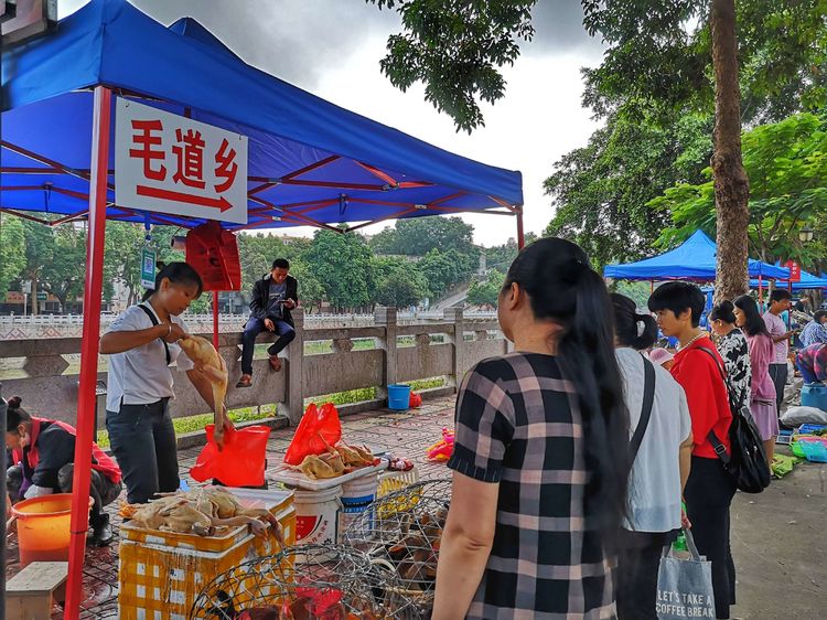 微信圖片_20191012155759 微信圖片_20191012155759