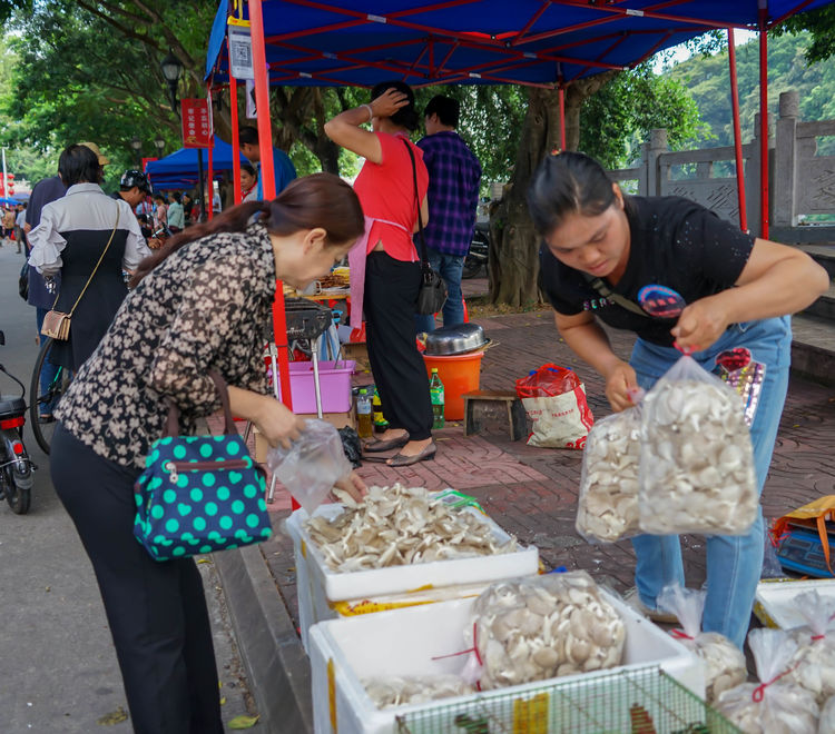 微信圖片_20191012155811 微信圖片_20191012155811