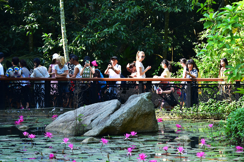 微信圖片_20191121102208 微信圖片_20191121102208