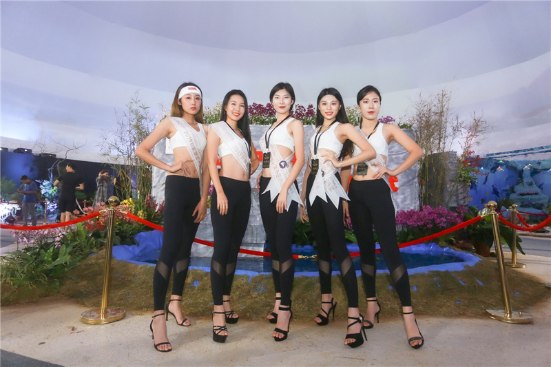 微信圖片_20200101173510 微信圖片_20200101173510