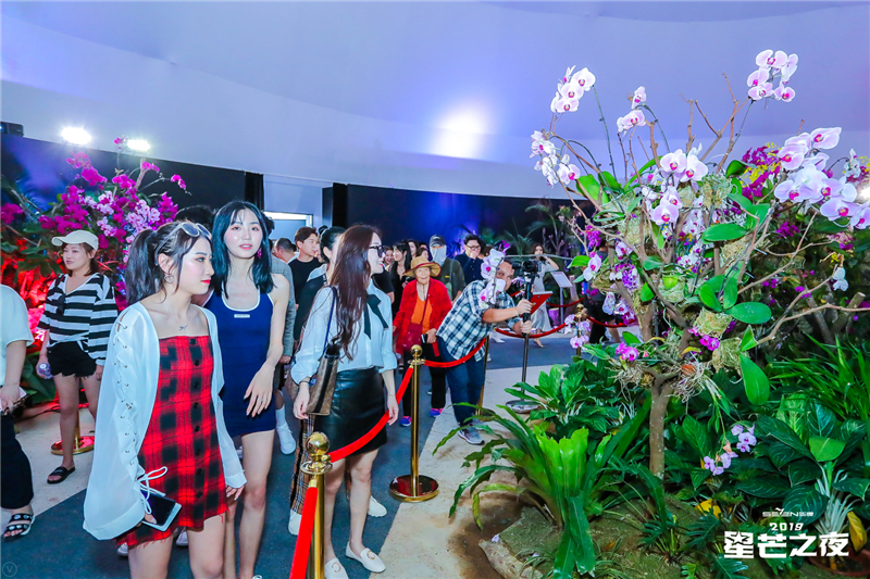 網紅暢游大小洞天打卡首屆三亞國際花卉旅游節 (7) 網紅暢游大小洞天打卡首屆三亞國際花卉旅游節 (7)