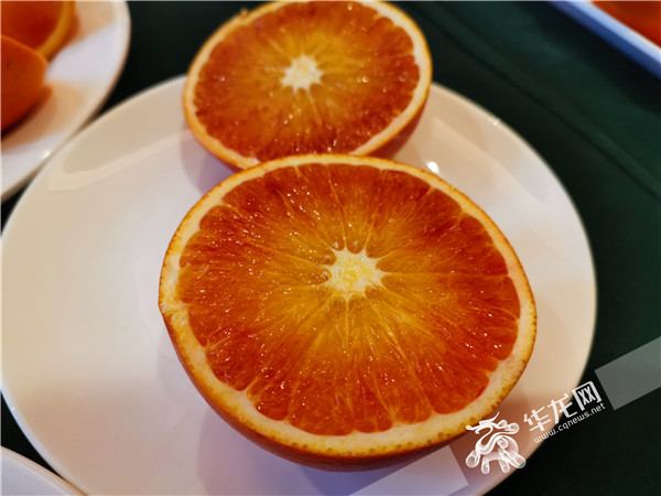 173cf895-01df-4b45-931b-46ca72c26152 173cf895-01df-4b45-931b-46ca72c26152