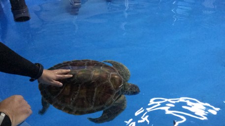 微信圖片_20200213163804 微信圖片_20200213163804