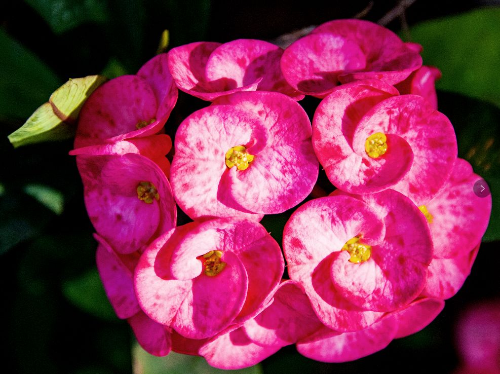 微信圖片_20200313203201