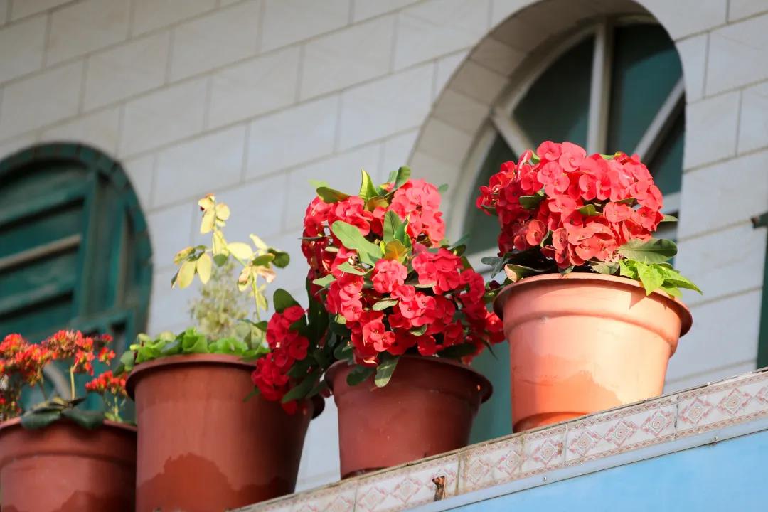 微信圖片_20200326094222 微信圖片_20200326094222