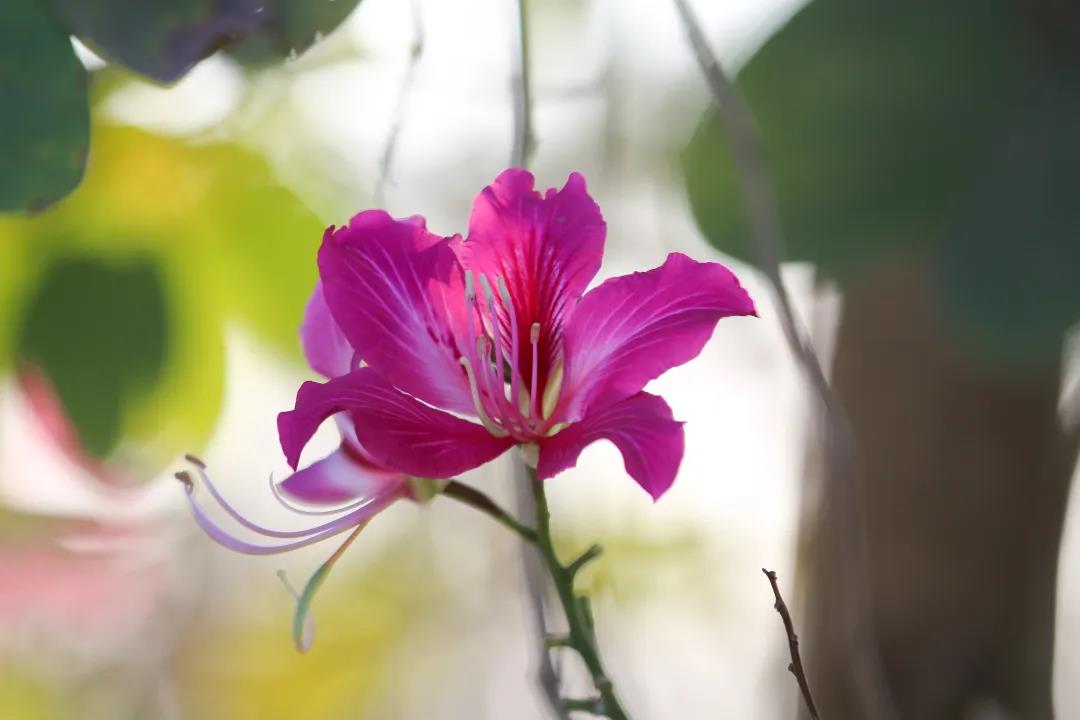 微信圖片_20200326094216 微信圖片_20200326094216