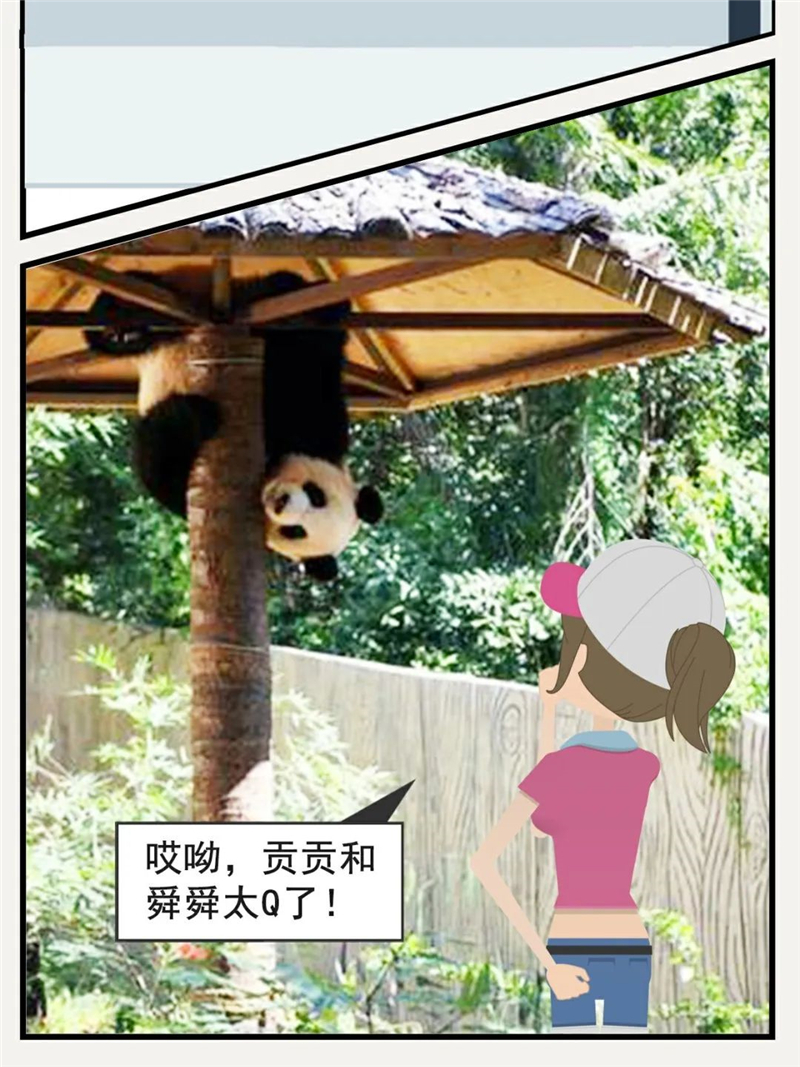 微信圖片_20200403203550 微信圖片_20200403203550