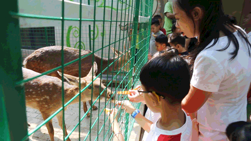 微信圖片_20200403173006 微信圖片_20200403173006