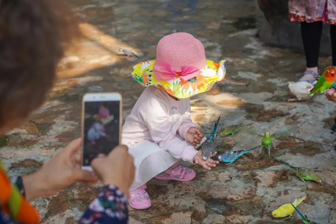 微信圖片_20200501125314 微信圖片_20200501125314