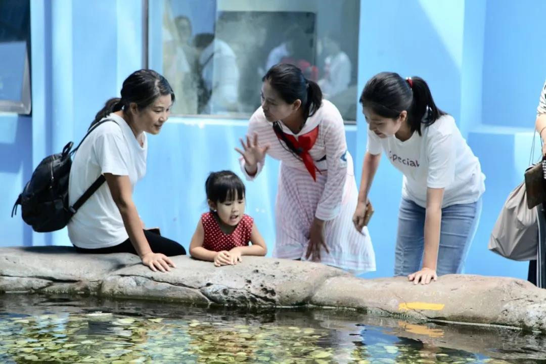 微信圖片_20200501125328 微信圖片_20200501125328