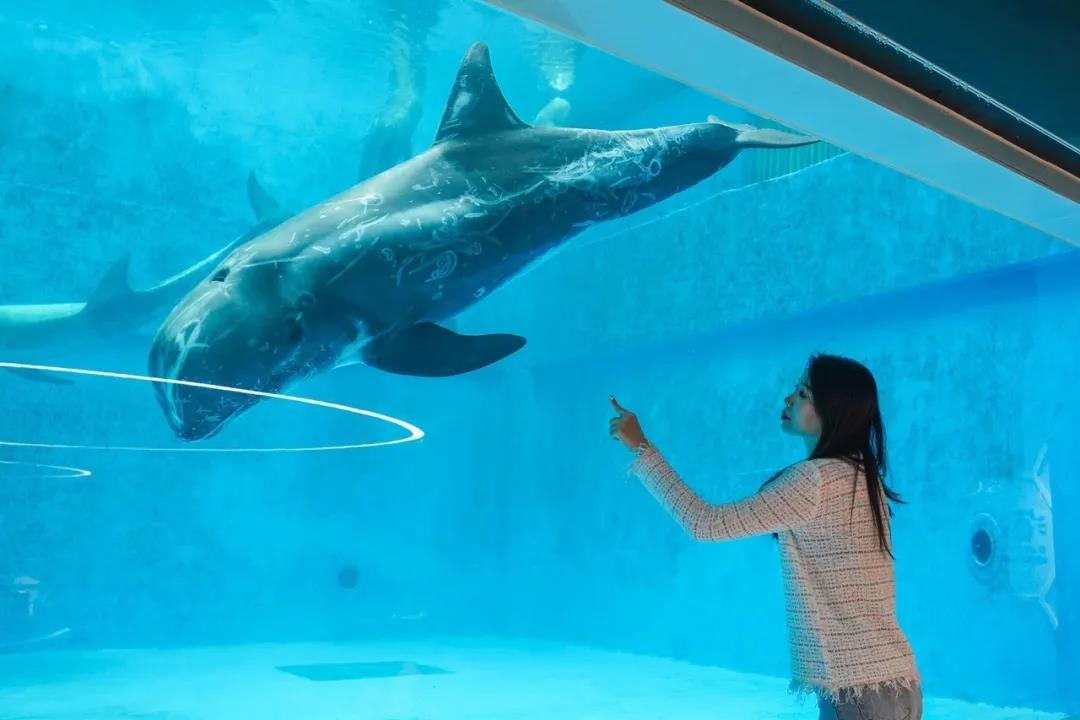 微信圖片_20200501125339 微信圖片_20200501125339