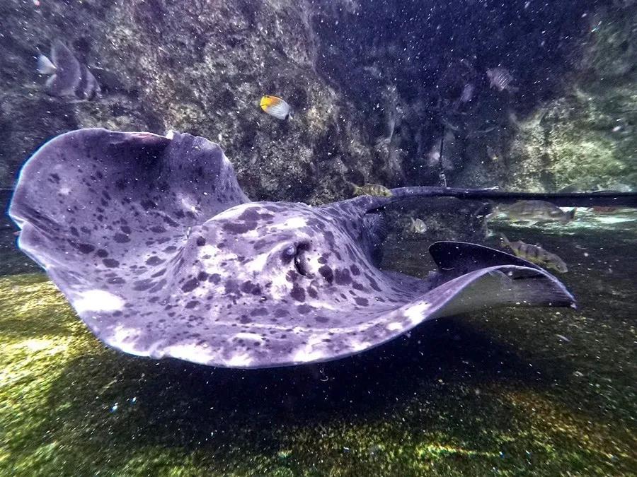 微信圖片_20200501125300 微信圖片_20200501125300