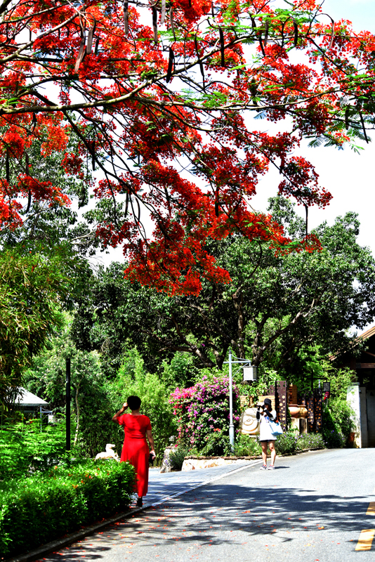 微信圖片_20200609182125