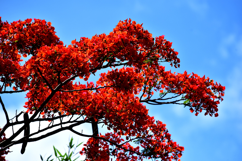 微信圖片_20200609181854 微信圖片_20200609181854