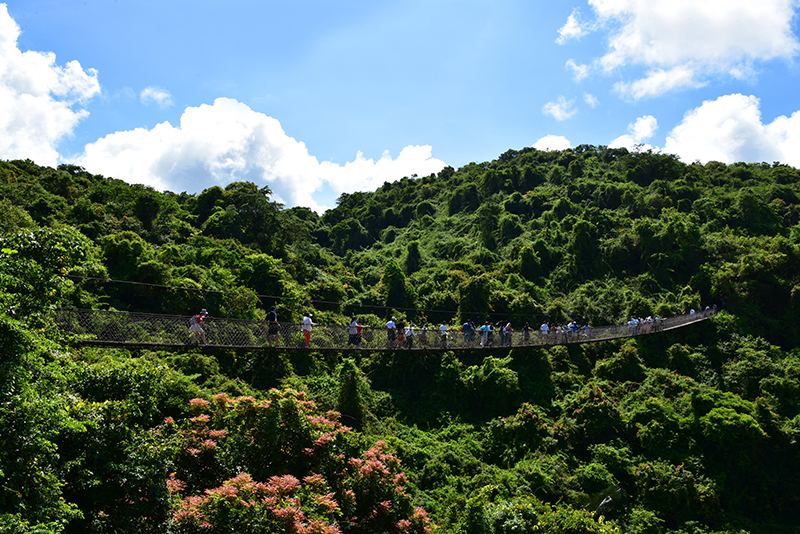 微信圖片_20200628112943 微信圖片_20200628112943