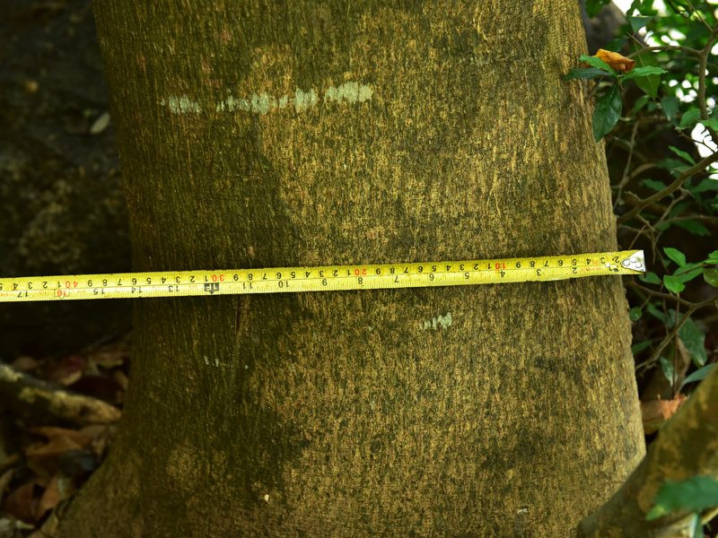 微信圖片_20200703162934