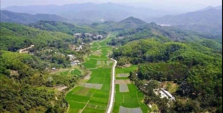 微信圖片_20200805095641