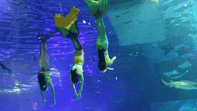 微信圖片_20200823085631