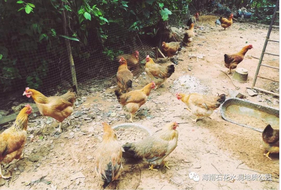 微信圖片_20200831094452 微信圖片_20200831094452