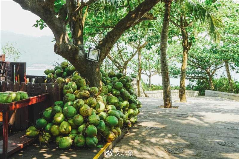 微信圖片_20200921221501 微信圖片_20200921221501