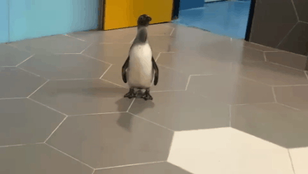 微信圖片_20200926151730 微信圖片_20200926151730