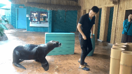 微信圖片_20200926151818 微信圖片_20200926151818