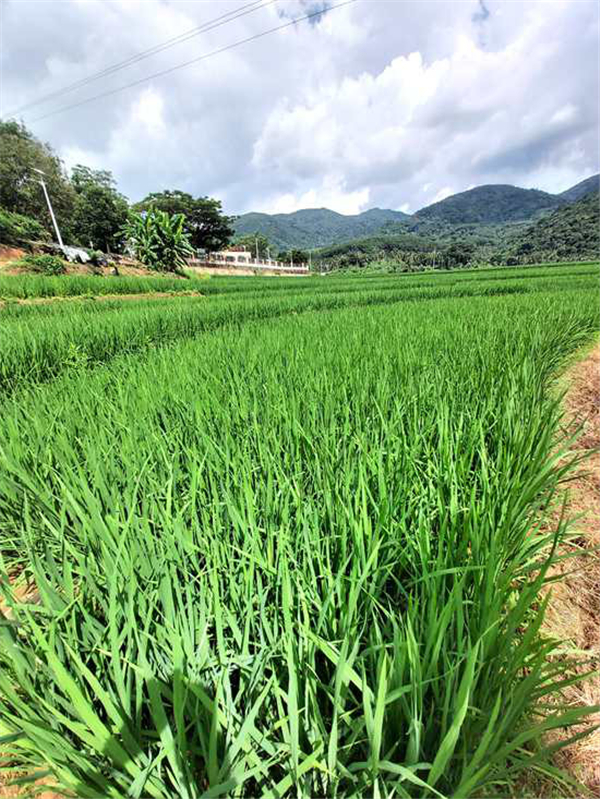 微信圖片_20200929170619 微信圖片_20200929170619