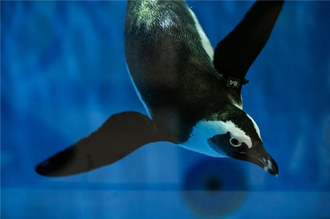 微信圖片_20200930184041